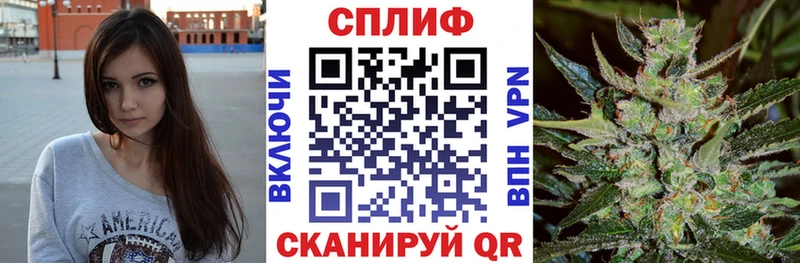 Что такое Торжок ГАШ 