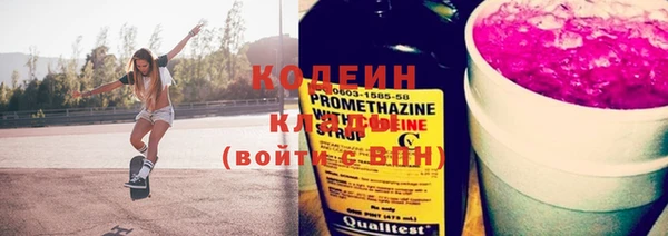 дмт Бородино