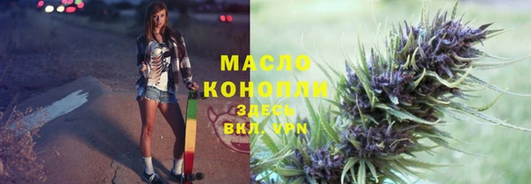 дмт Бородино