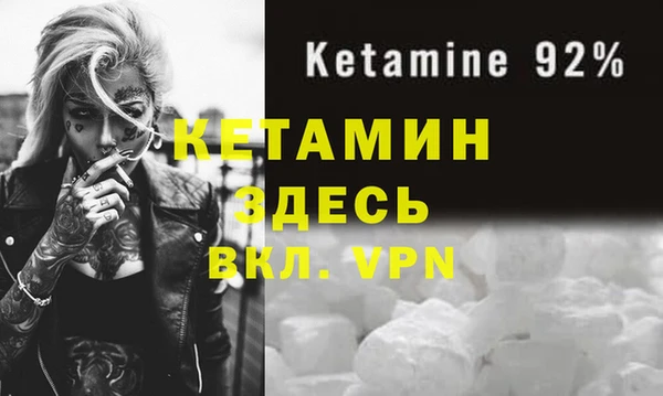 дмт Бородино