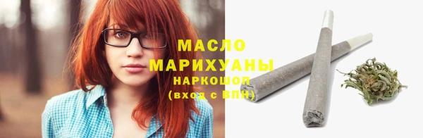 дмт Бородино