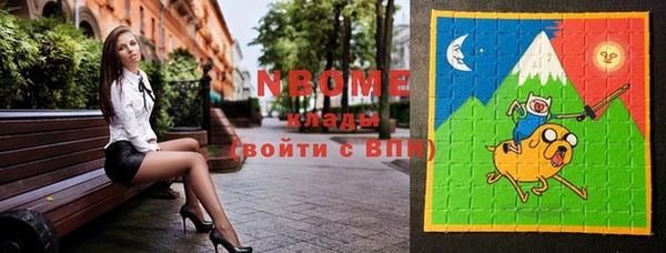 дмт Бородино