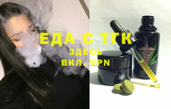 дмт Бородино