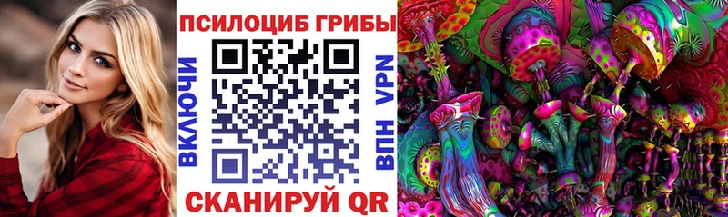 ОМГ ОМГ ССЫЛКА  купить наркотик  Торжок  Галлюциногенные грибы Psilocybe 